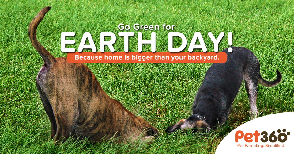 Pet360 Earth Day Facebook Cover